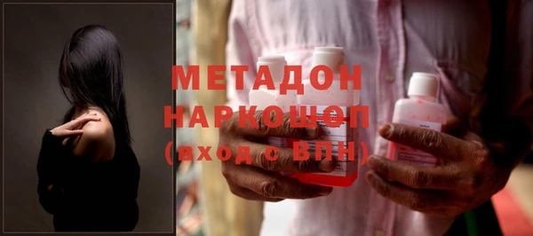 прущие грибы Алзамай
