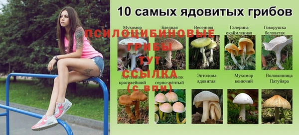 дмт Алексин