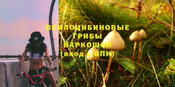 кокс Абаза