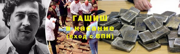 прущие грибы Алзамай