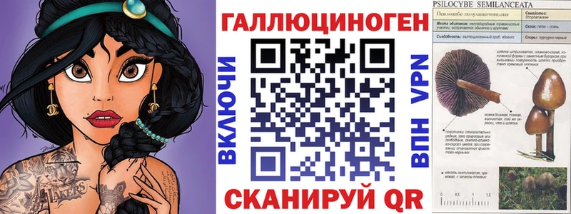 Галлюциногенные грибы Psilocybine cubensis Талдом