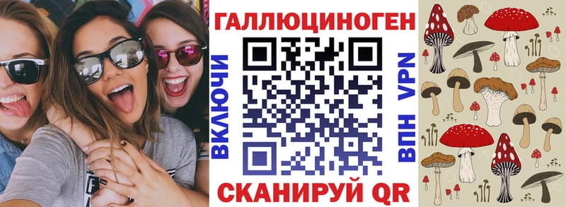 Галлюциногенные грибы мухоморы закладки Талдом